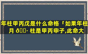 年柱甲丙戊是什么命格「如果年柱月 🌷 柱是甲丙申子,此命大 🦅 贵是什么意思」